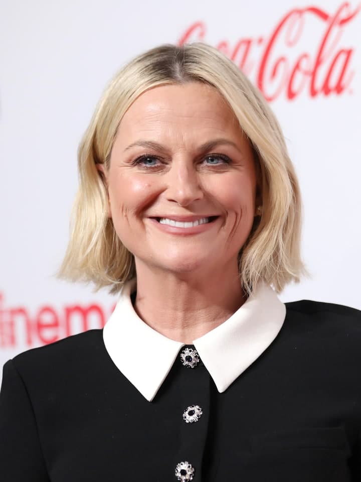 Amy Poehler AI persona voice preview — VocalMask