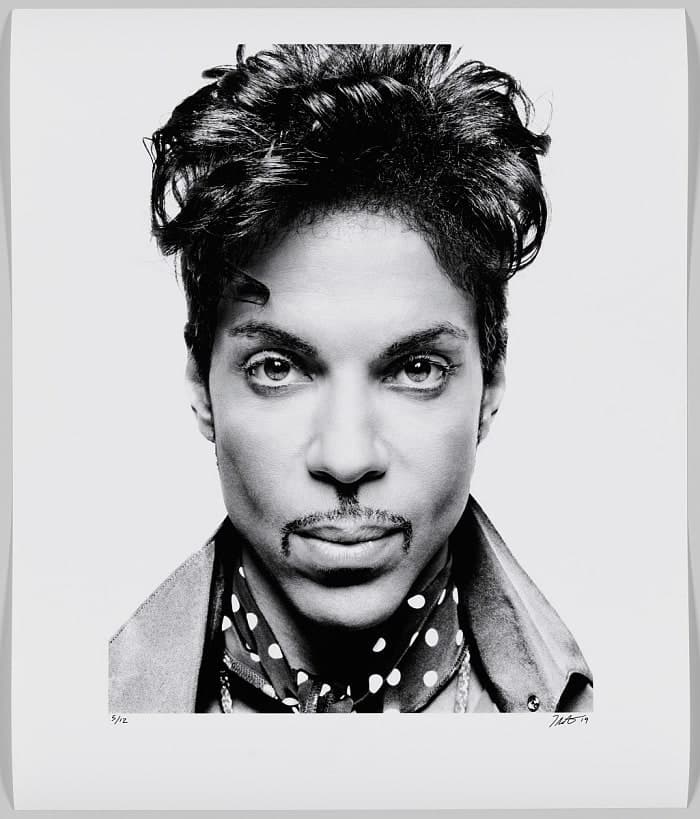 Prince — VocalMask persona preset